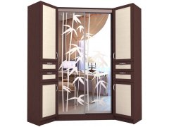 Радоя шкаф-купе угловой