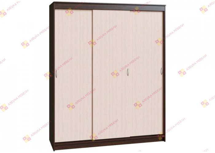 Шкаф-купе Миллениум-3 Дизайн-3