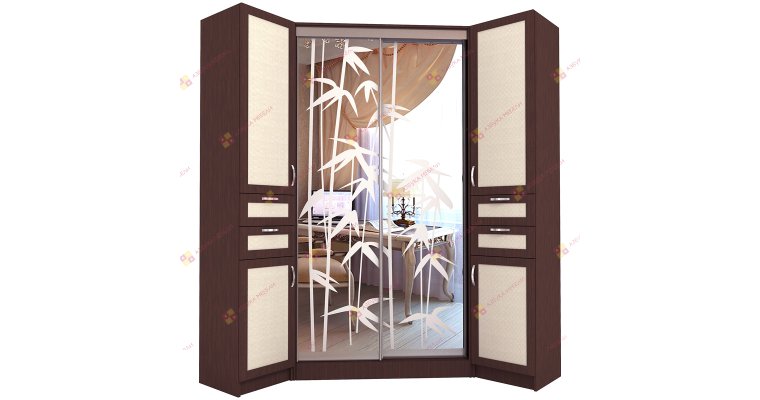 Радоя шкаф-купе угловой