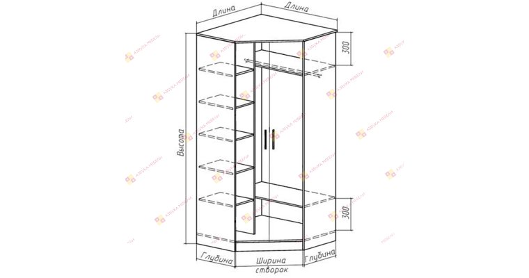 Радоя шкаф-купе угловой