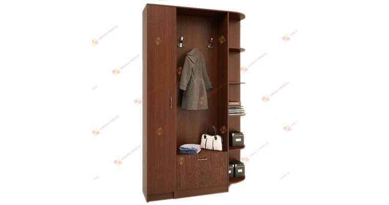 Анюта-6 прихожая